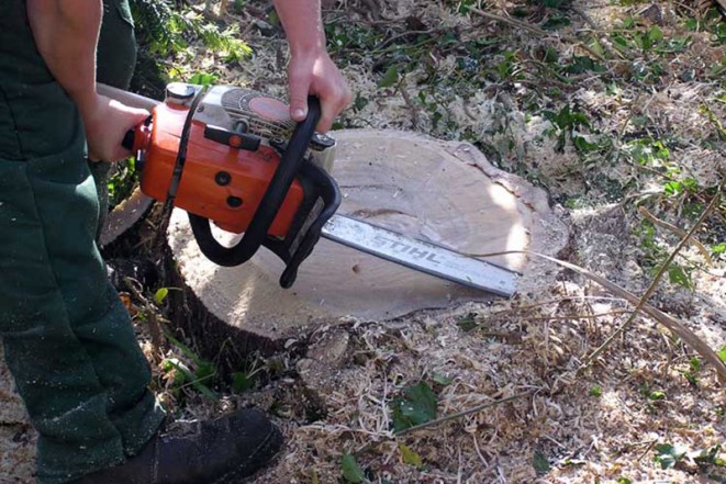 Safety First How To Safely Use A Chainsaw Woodworking And